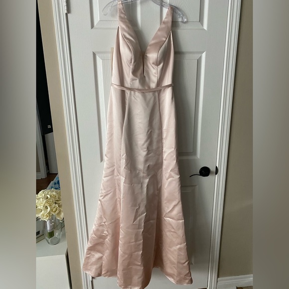Sorella Vita Blush Pink Bridesmaid/Prom/Evening Dress - Picture 11 of 16